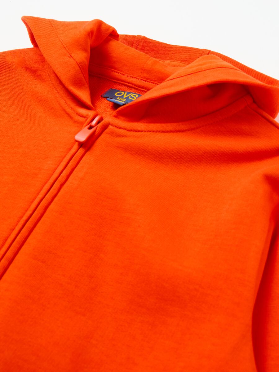 Full-zip sweatshirt in French terry with hood_2