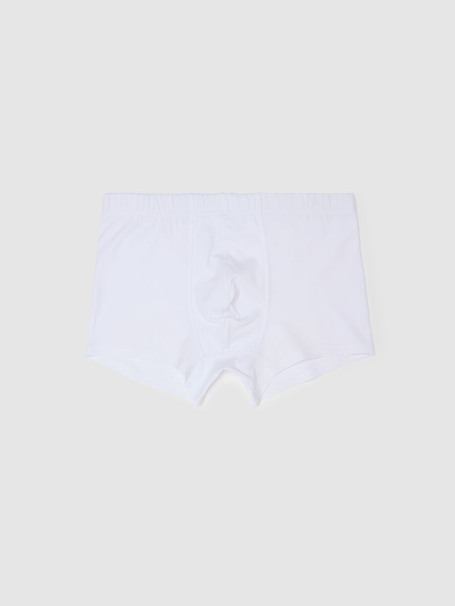 Organic cotton boxer shorts_4