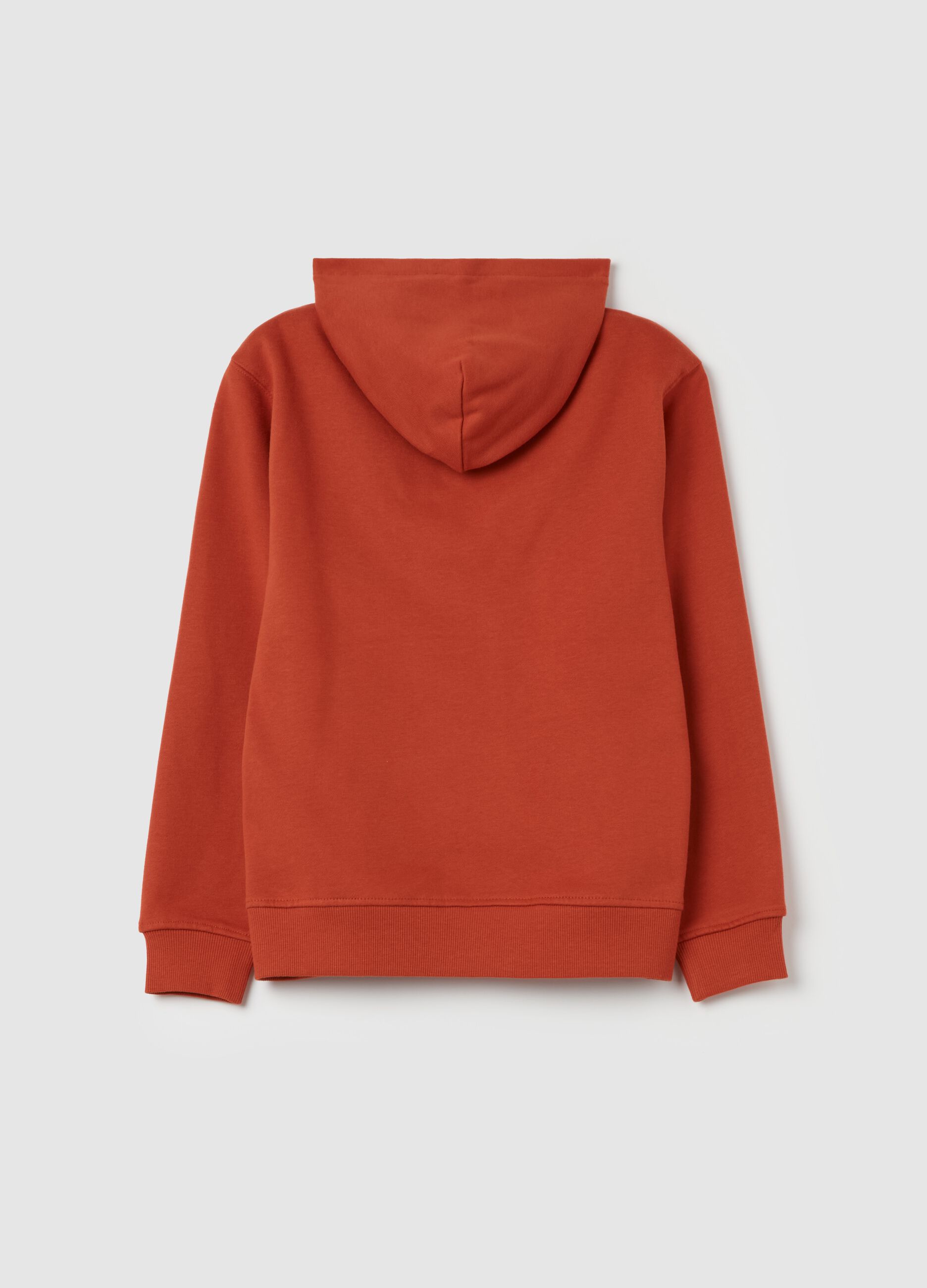 Essential full-zip sweatshirt in fleece with hood