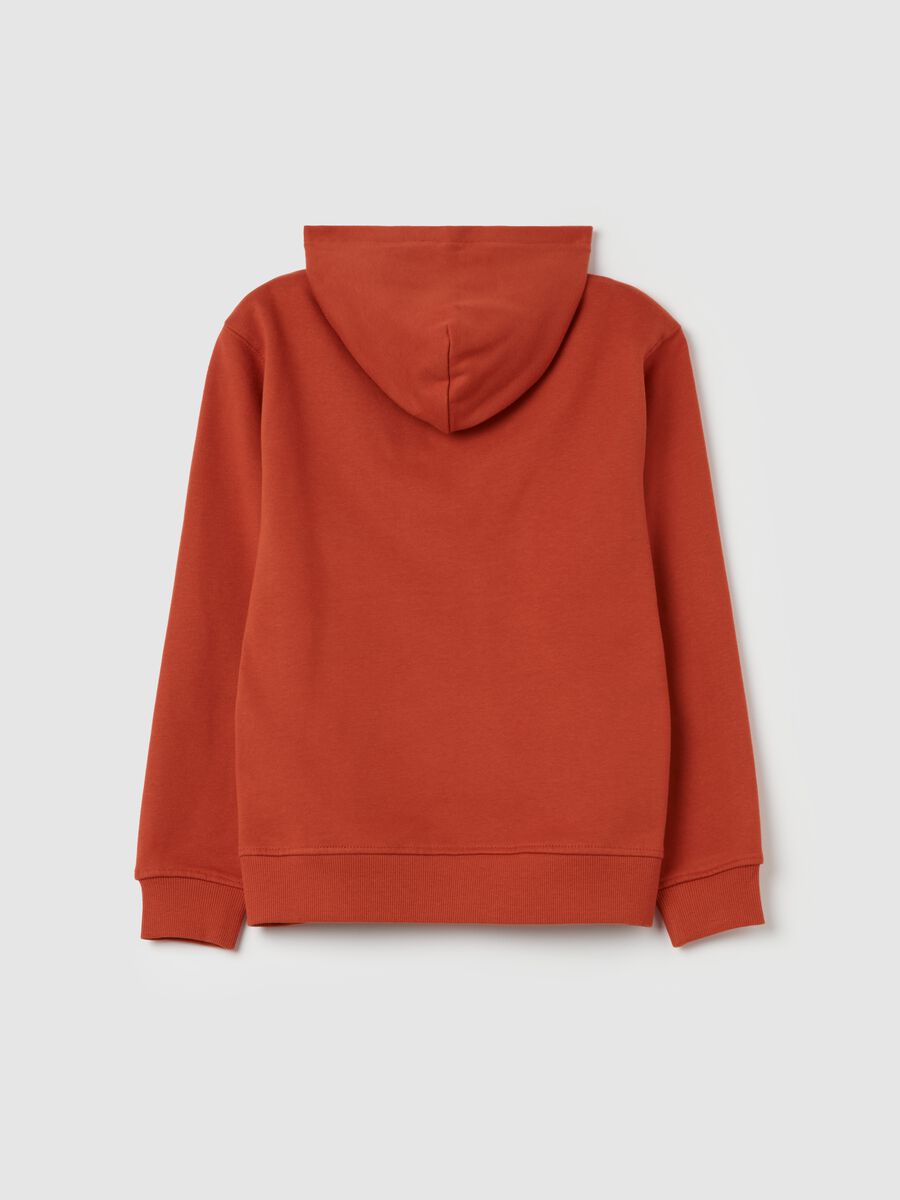 Essential full-zip sweatshirt in fleece with hood_4