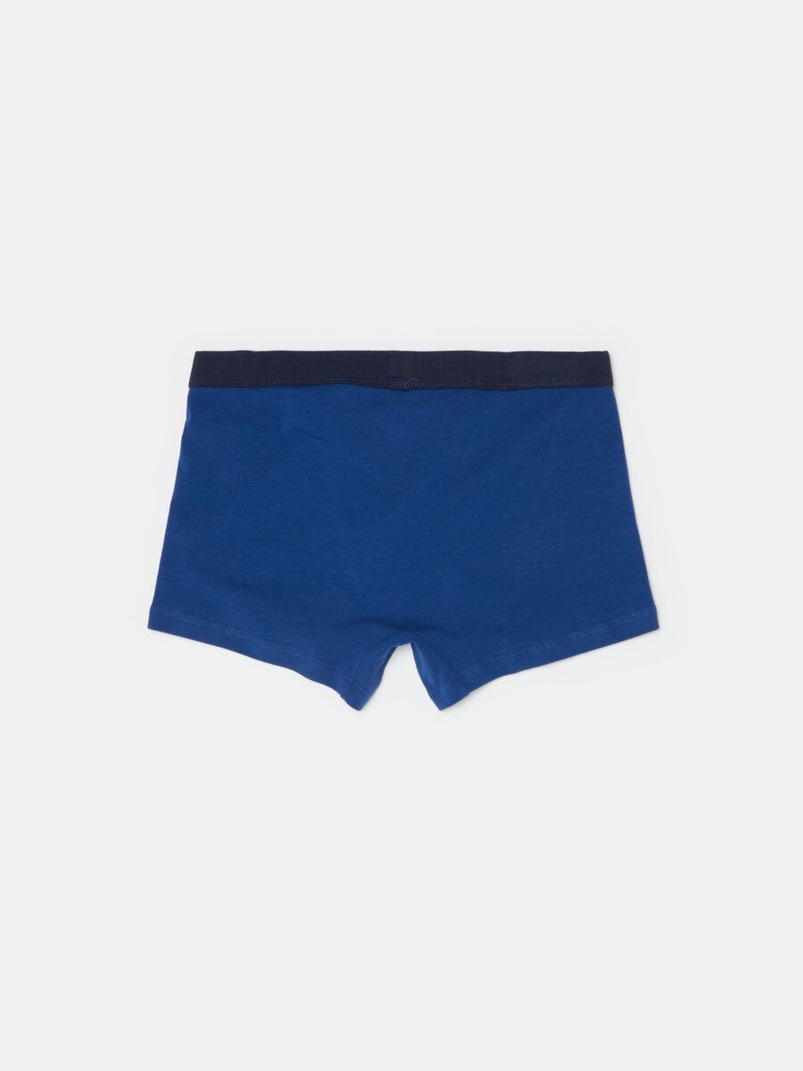 Organic cotton boxer shorts_1