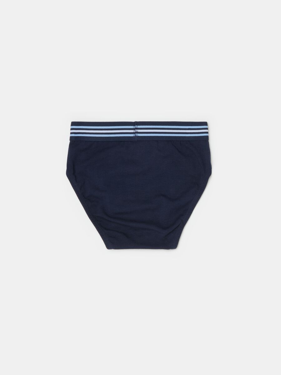 Organic cotton briefs with striped elastic_1