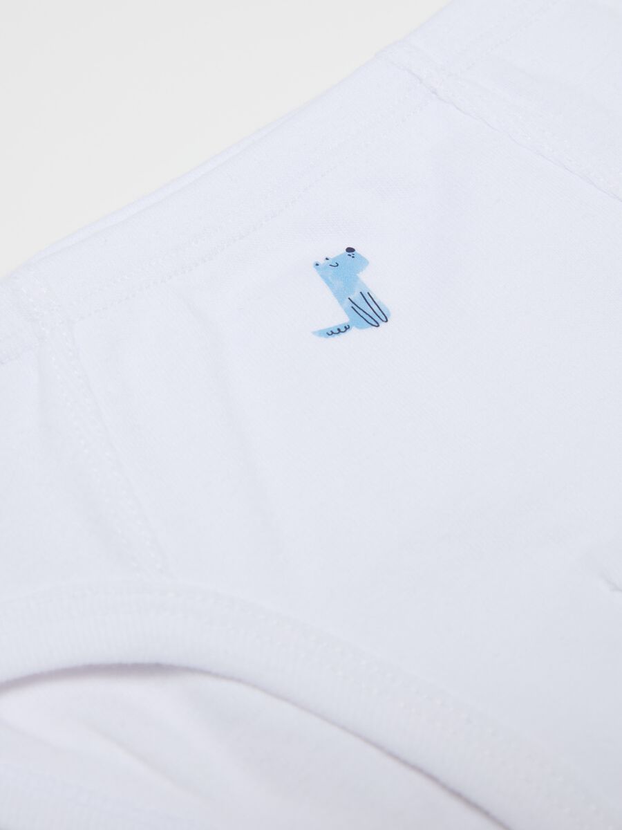 Two-pack briefs in organic cotton with print_2