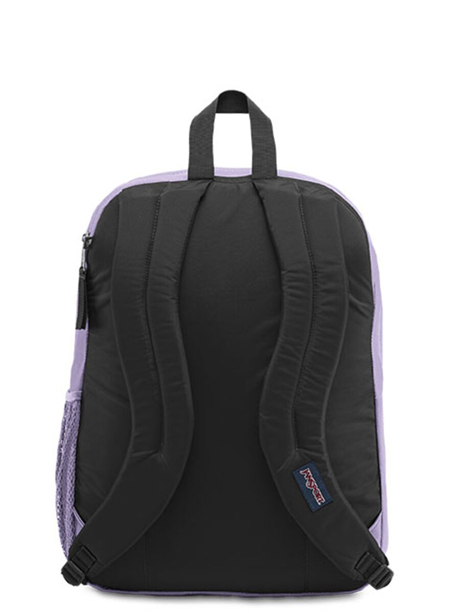 Big Student backpack_1