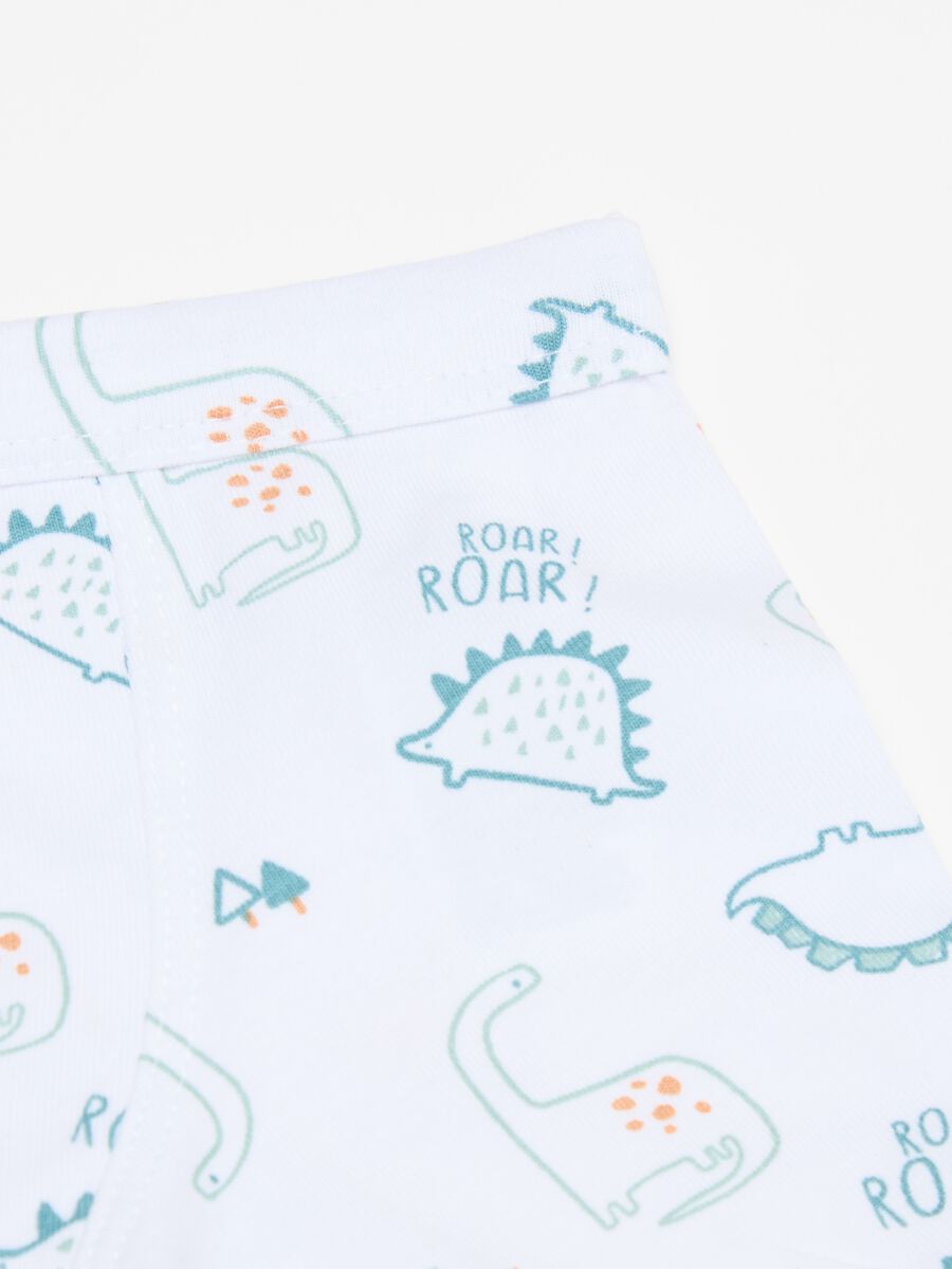 Two-pack boxer shorts with dinosaurs print_2