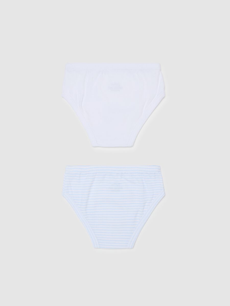 Two-pack briefs in organic cotton with print_1