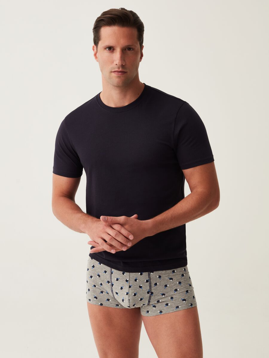 Men's Underwear: boxers, briefs, socks, undershirts and vests