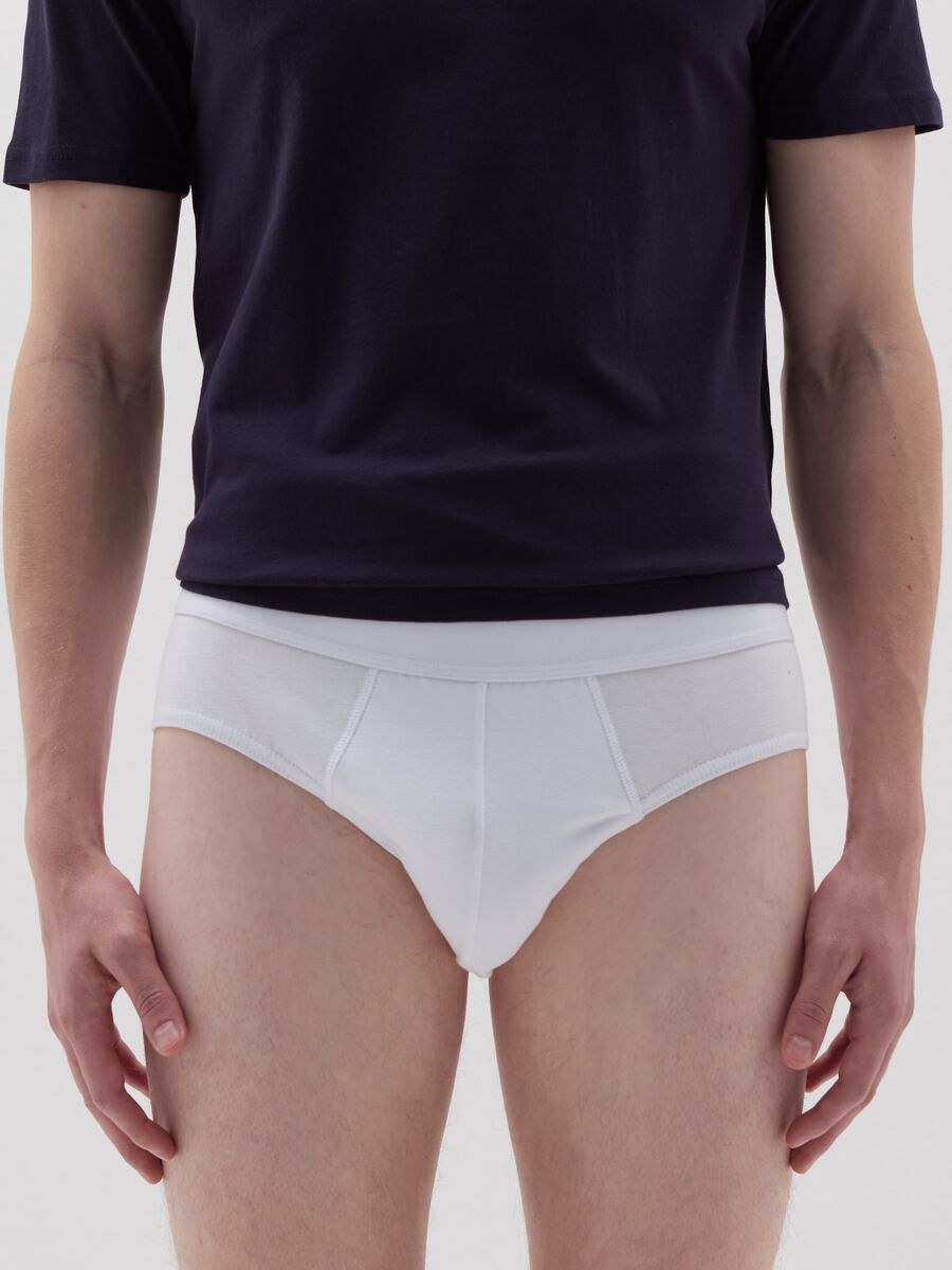 Stretch organic cotton briefs_1