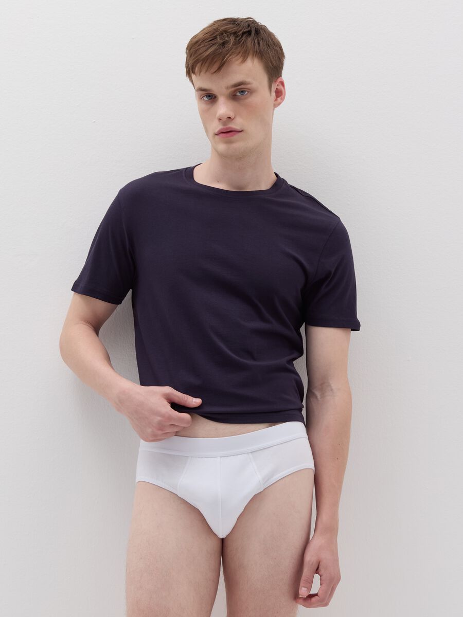 Stretch organic cotton briefs_0