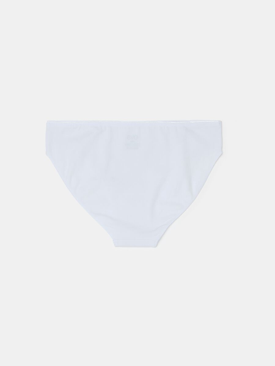 Organic cotton briefs_1