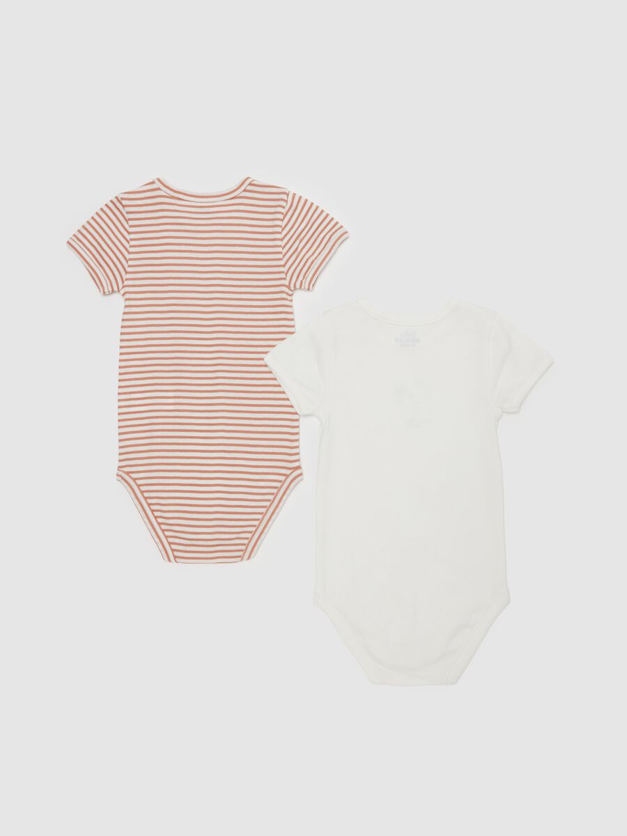 Two-pack bodysuits in organic cotton with striped pattern_1