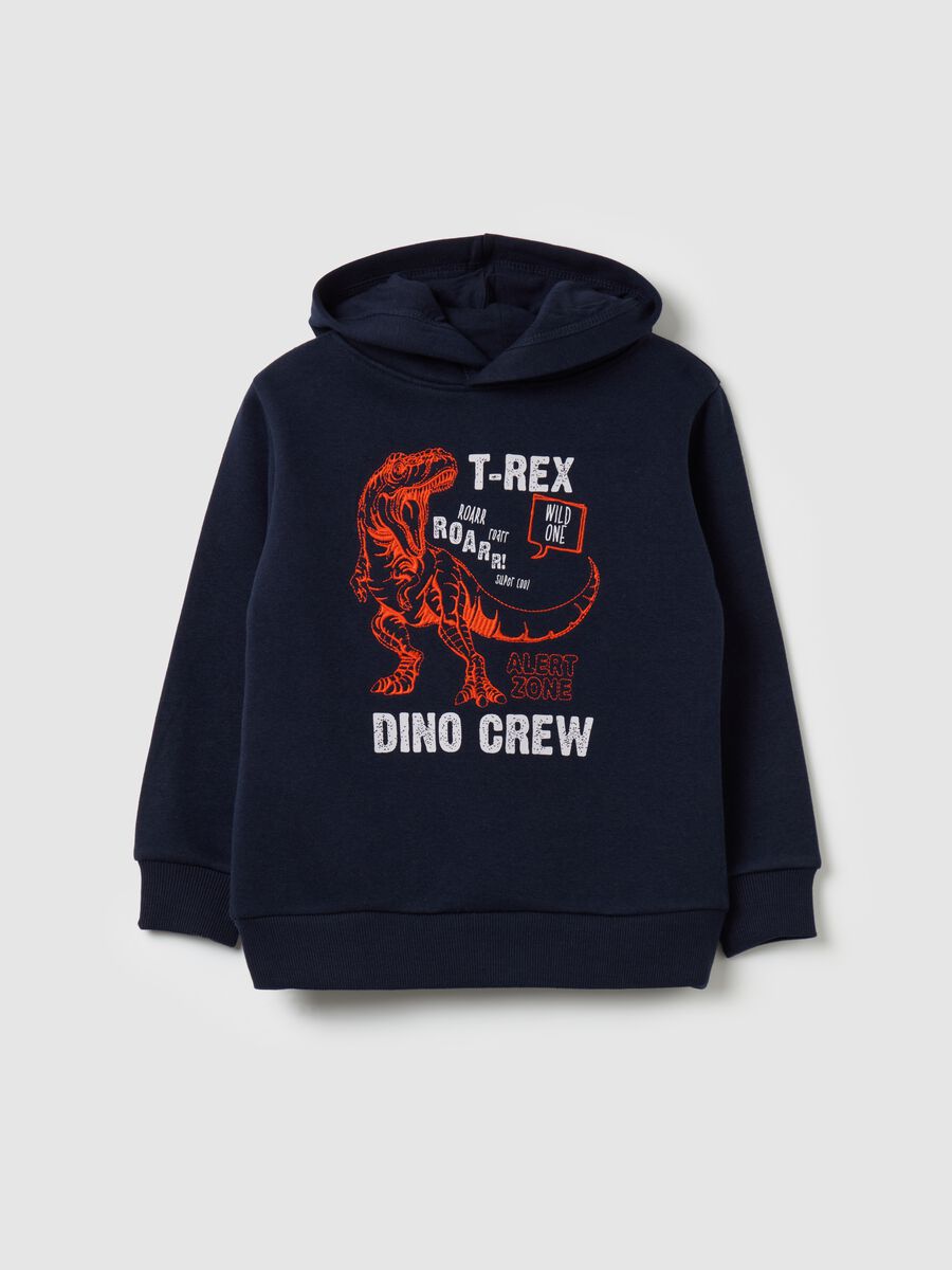 Sweatshirt with hood and dinosaur embroidery_0