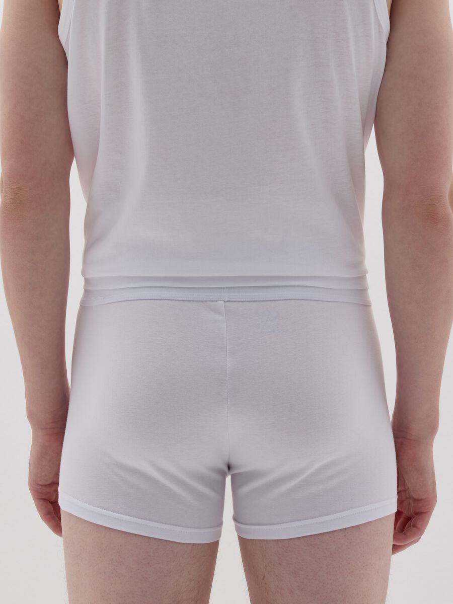 Organic cotton boxer shorts_2