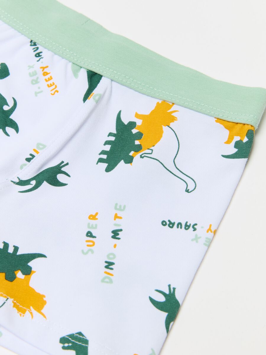 Three-pack boxer shorts with dinosaurs print_2