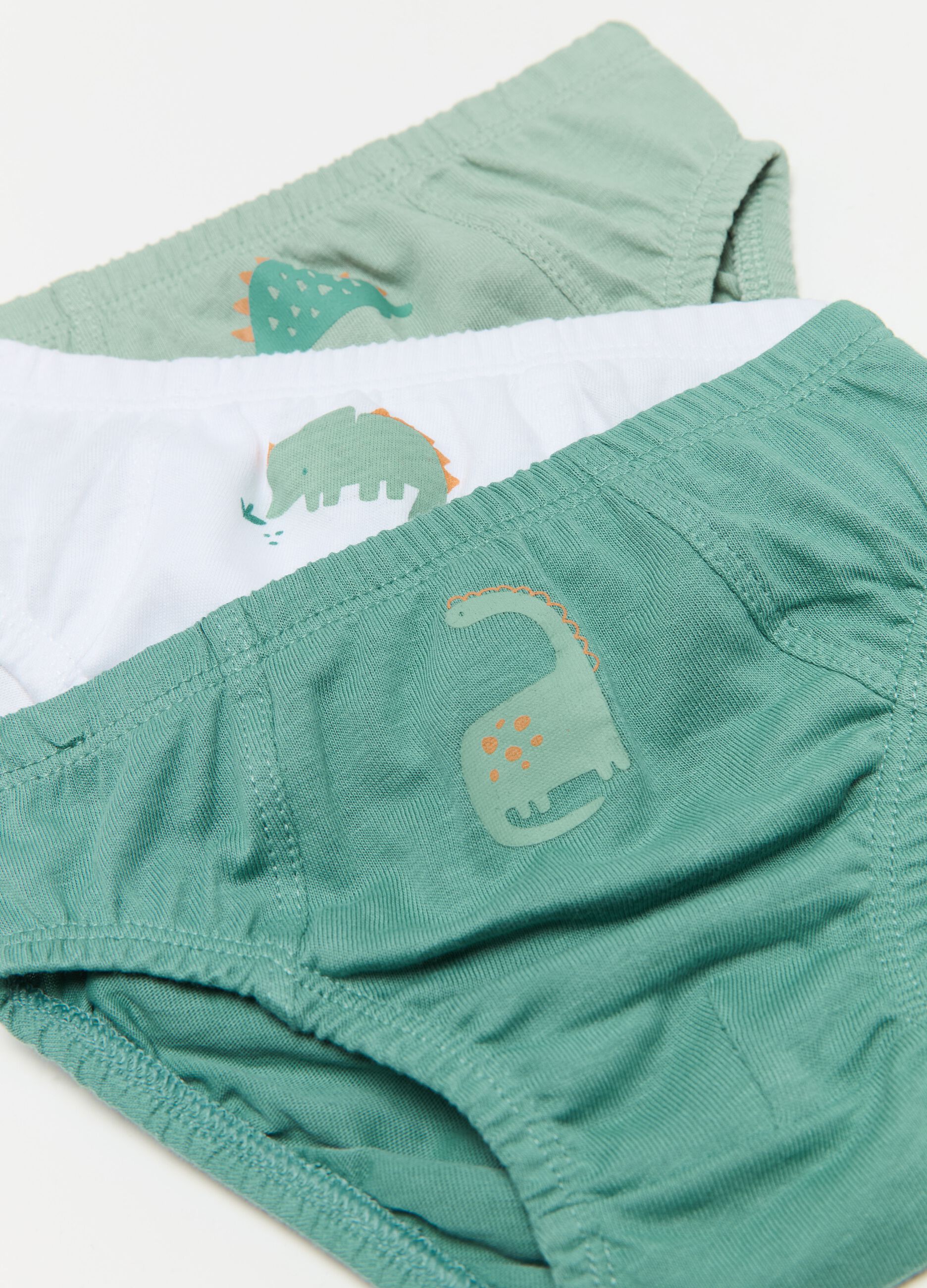 Five-pack briefs with dinosaur print