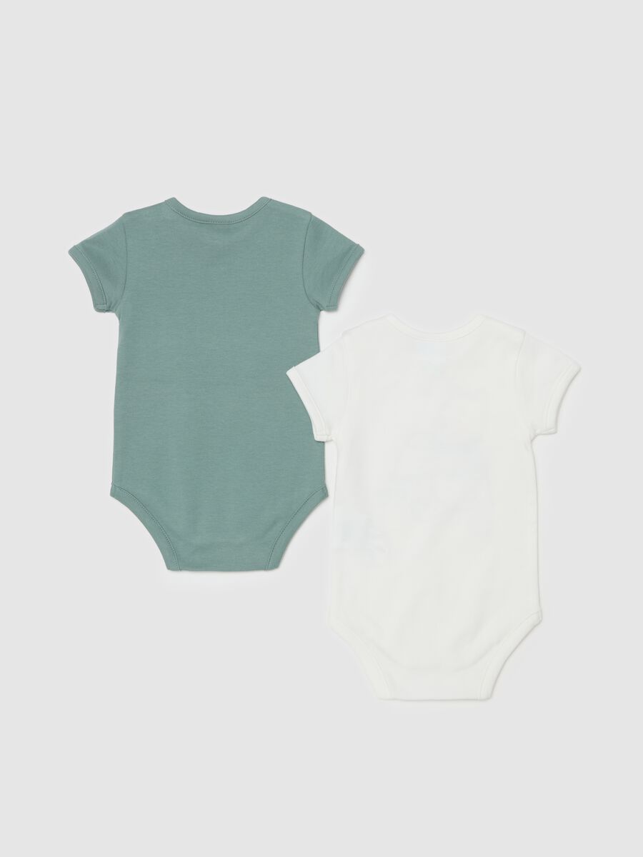 Two-pack Winnie the Pooh organic cotton bodysuits_1