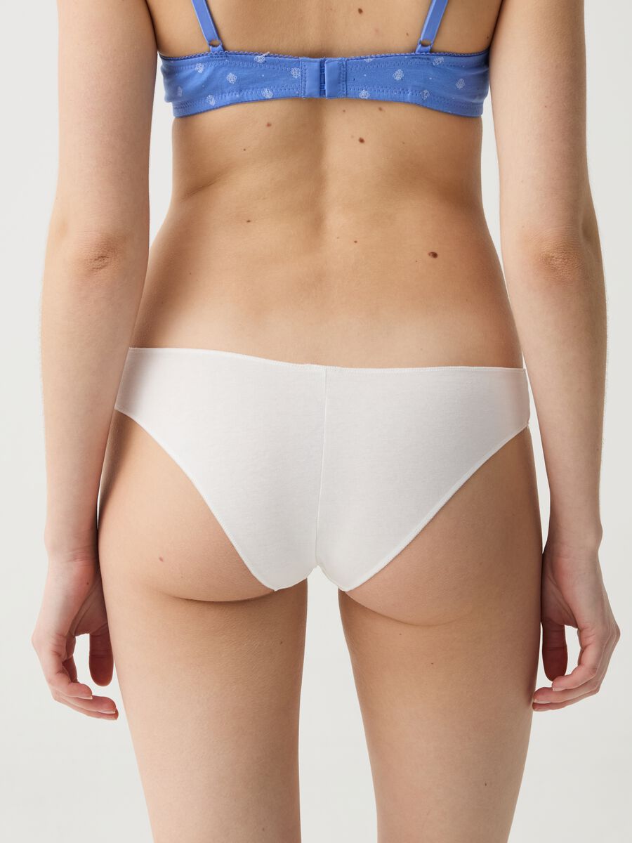 Brazilian Cut Panties – BrafittersCan