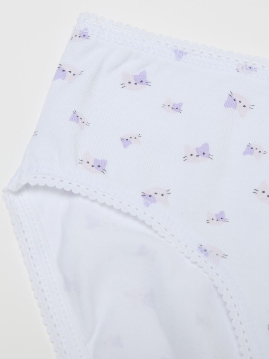 Jersey briefs with kittens print_2