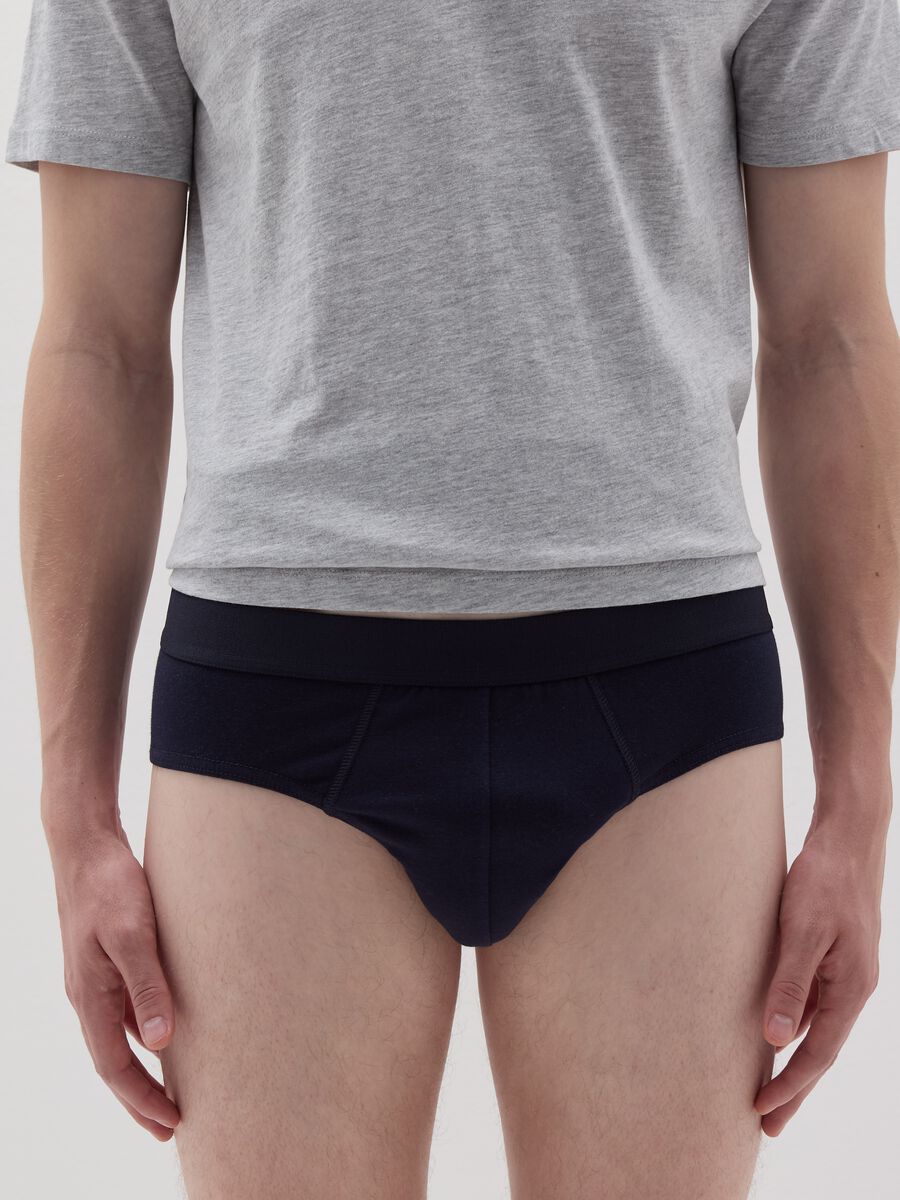 Stretch organic cotton briefs_1