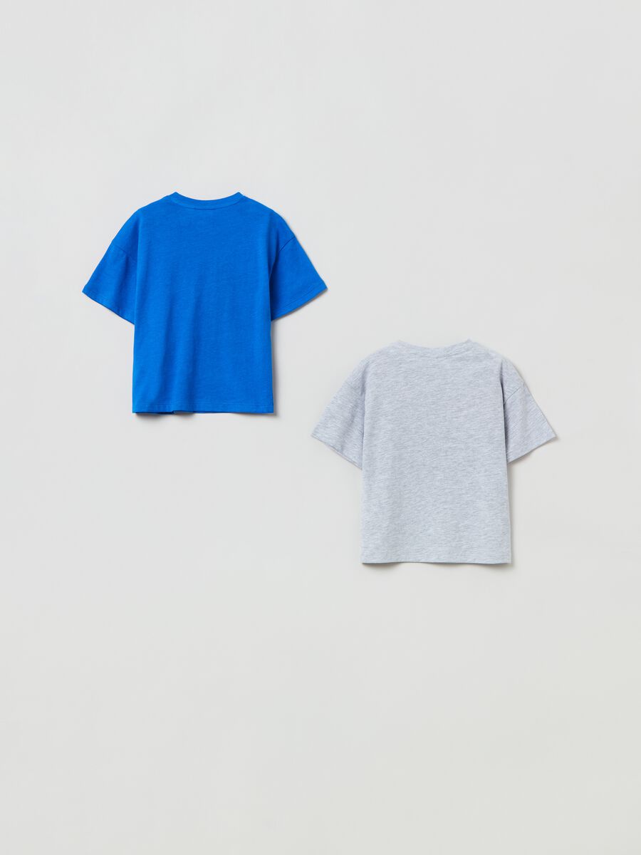 Two-pack T-shirts in cotton with print_1