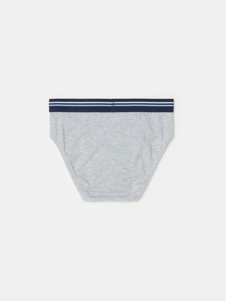 Organic cotton briefs with striped elastic_2