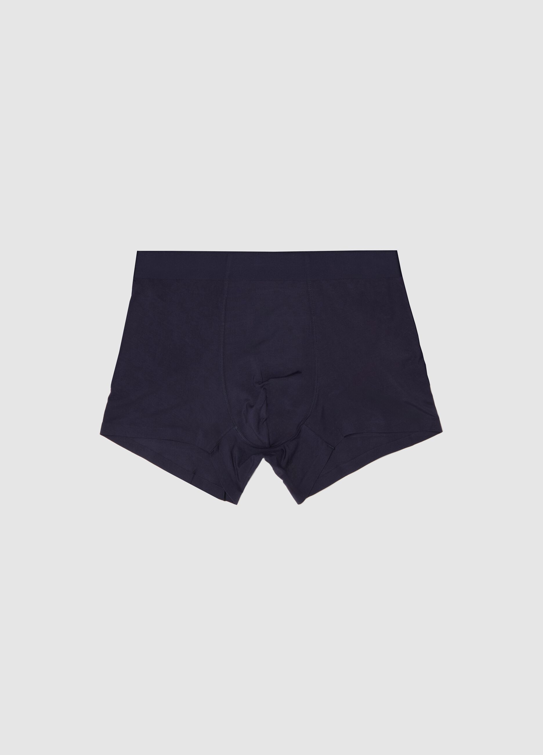 Boxer in modal stretch