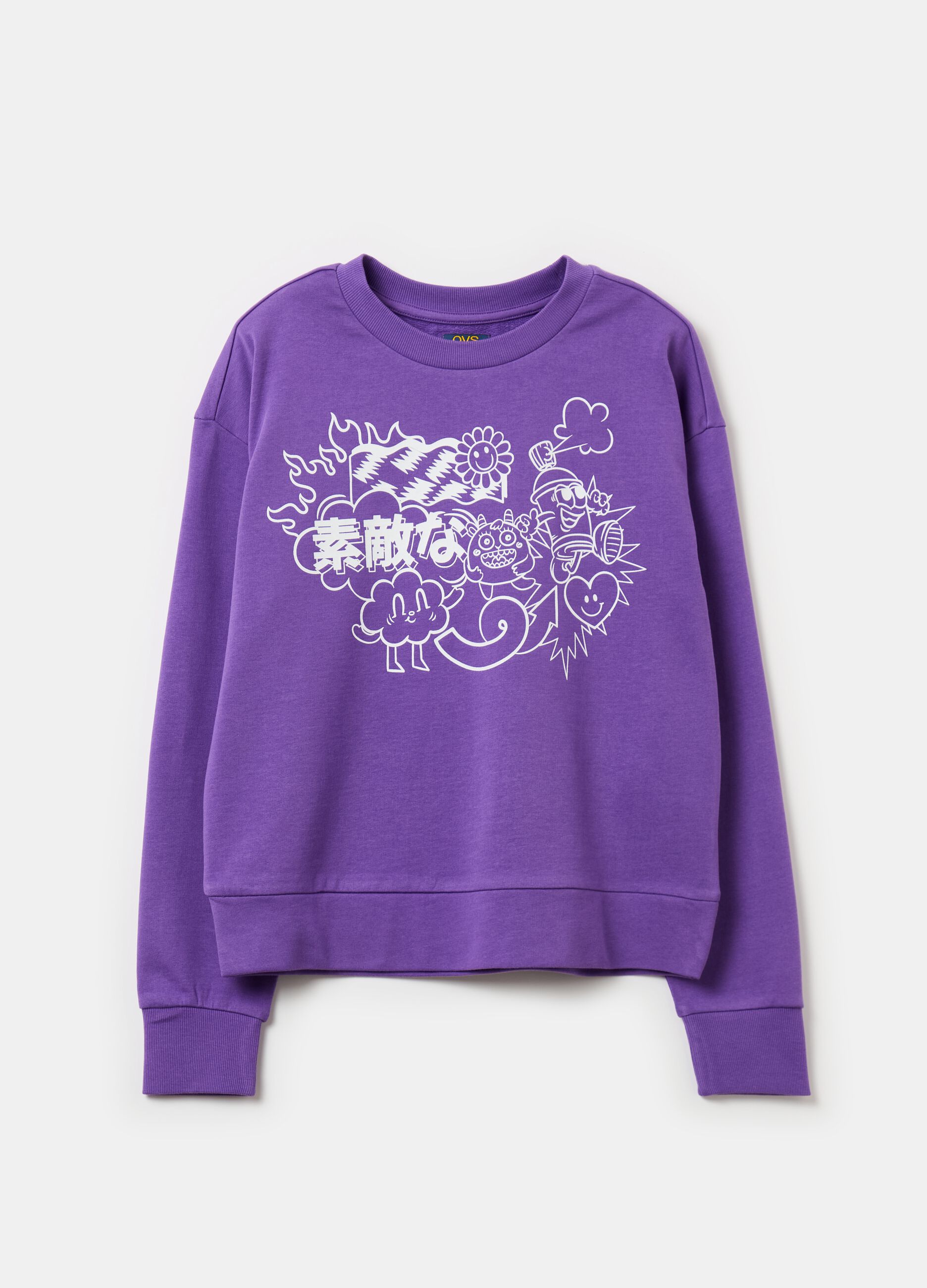 French terry sweatshirt with print