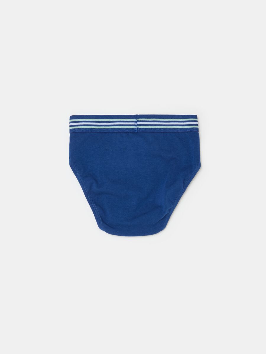 Organic cotton briefs with striped elastic_1