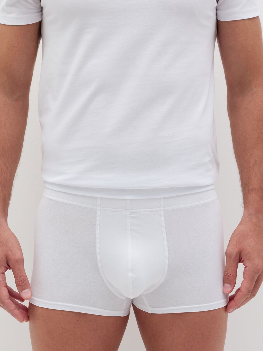 Organic cotton boxer shorts_1