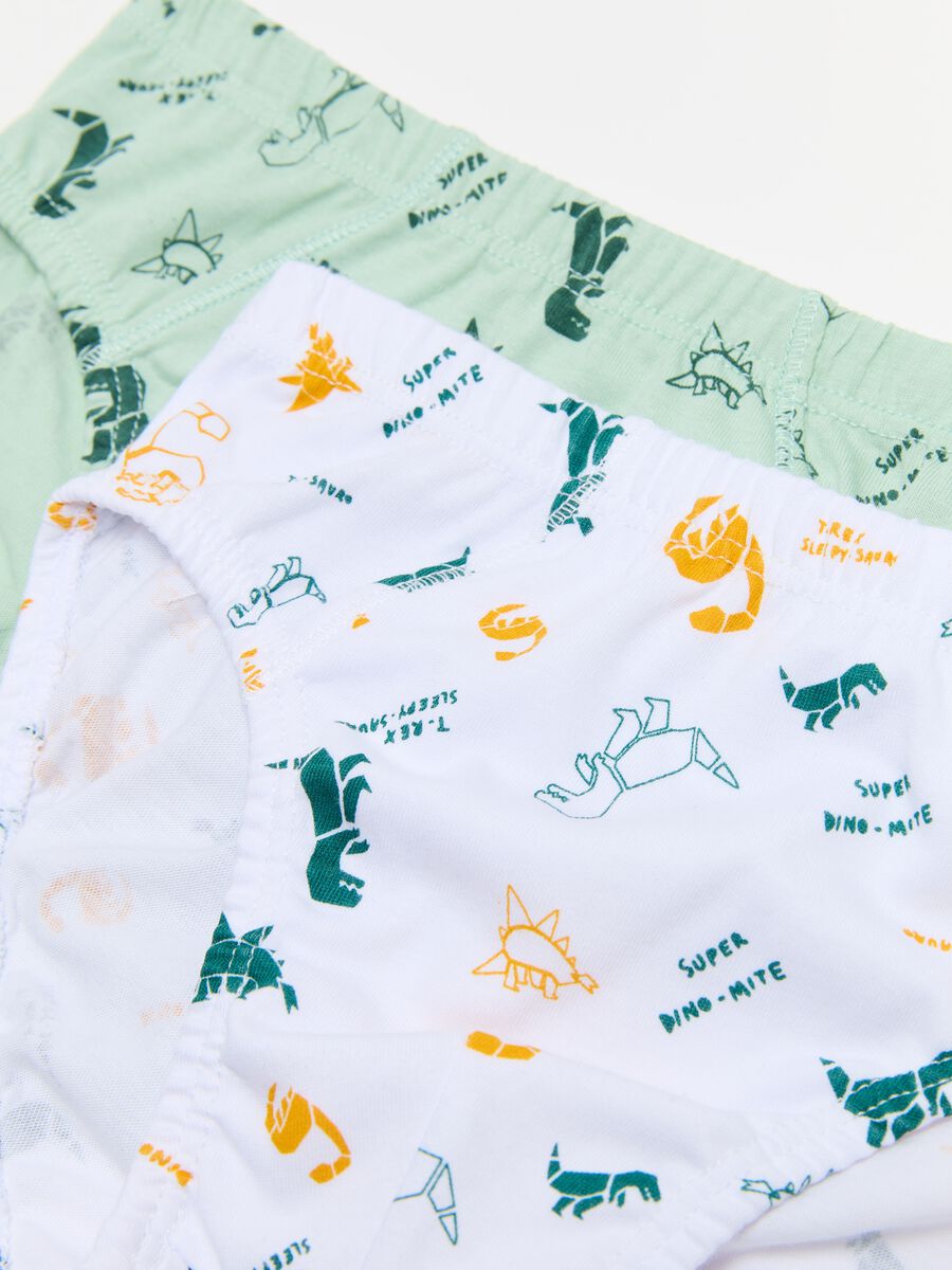Seven-pack briefs with dinosaurs print_3