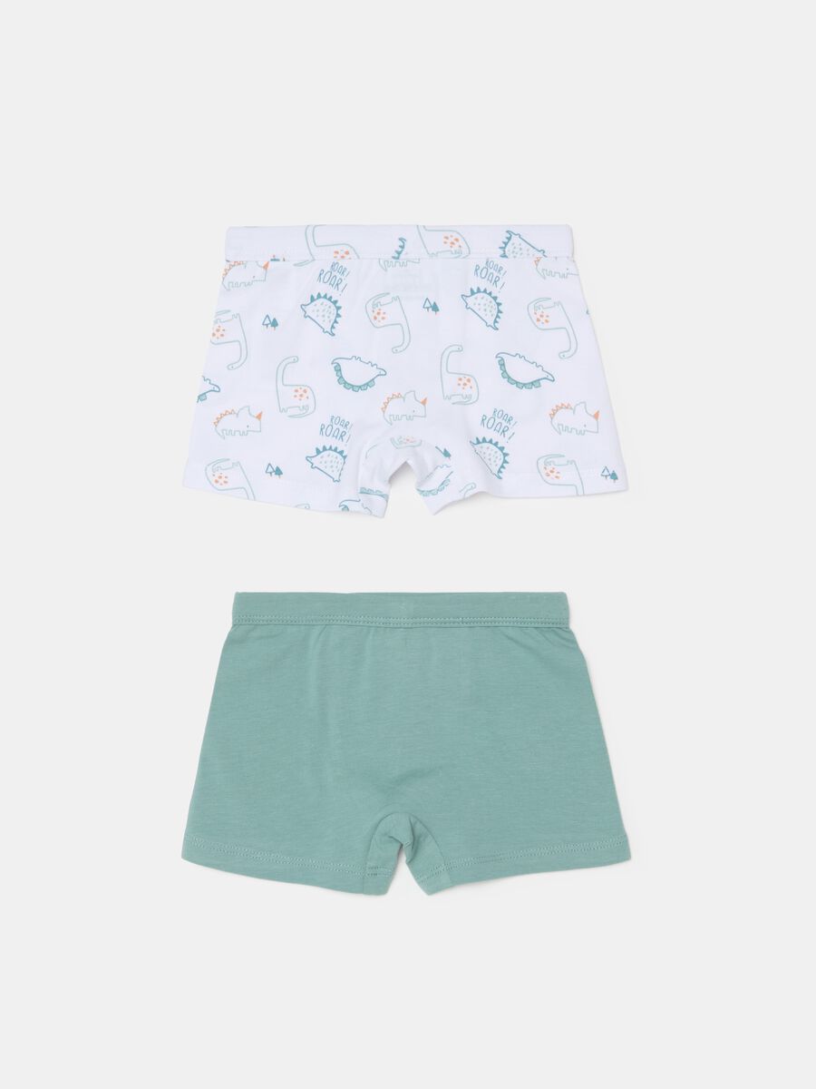 Two-pack boxer shorts with dinosaurs print_1