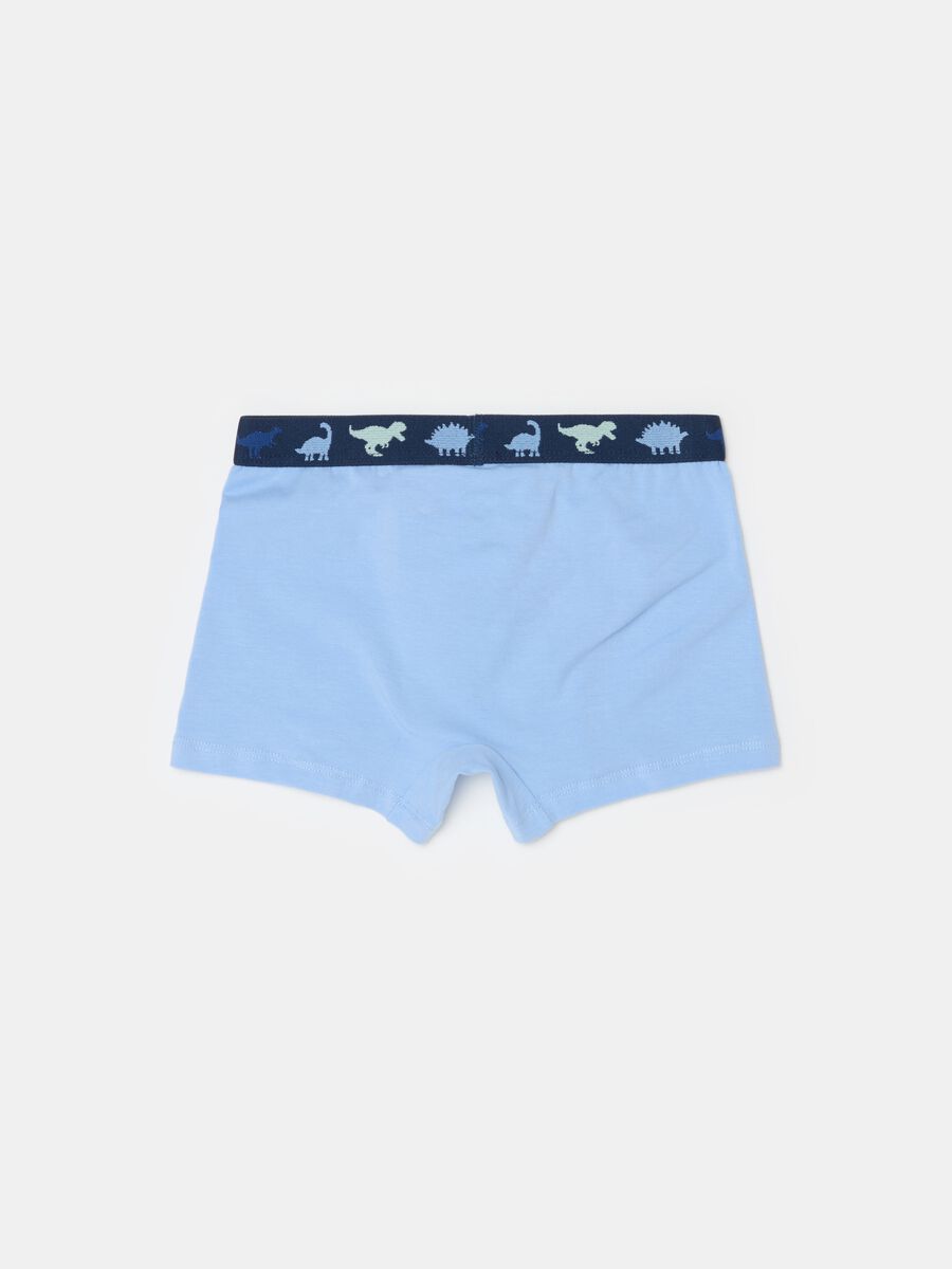 Organic cotton boxer shorts with print_1