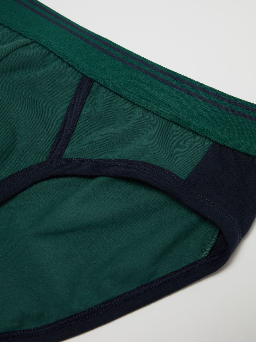 Briefs with contrasting details_5