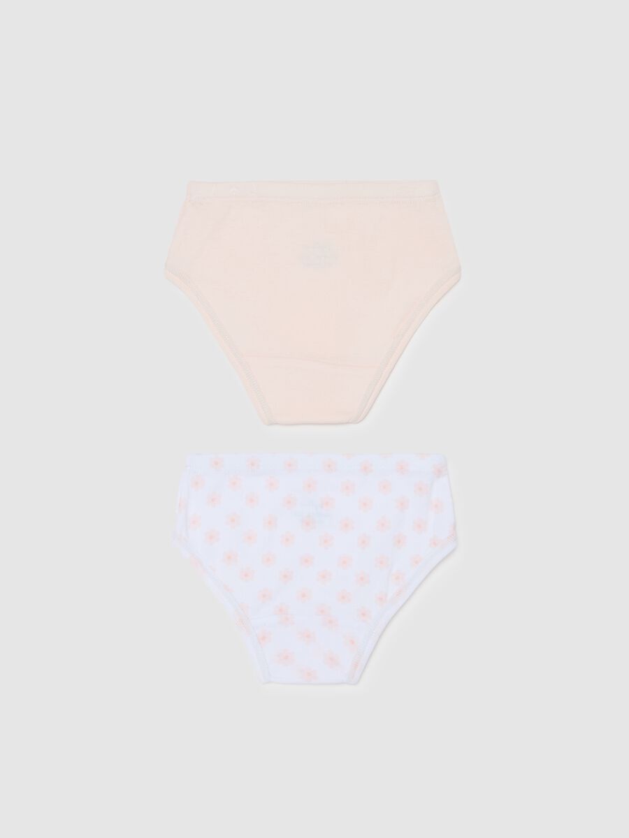 Two-pack briefs in organic cotton with bow_1