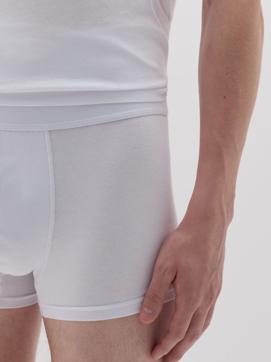 Organic cotton boxer shorts_3