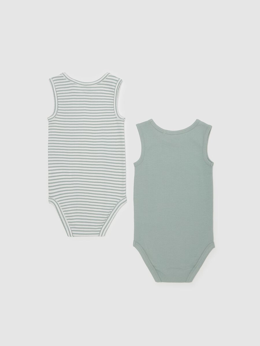 Two-pack bodysuits in organic cotton with striped pattern_1