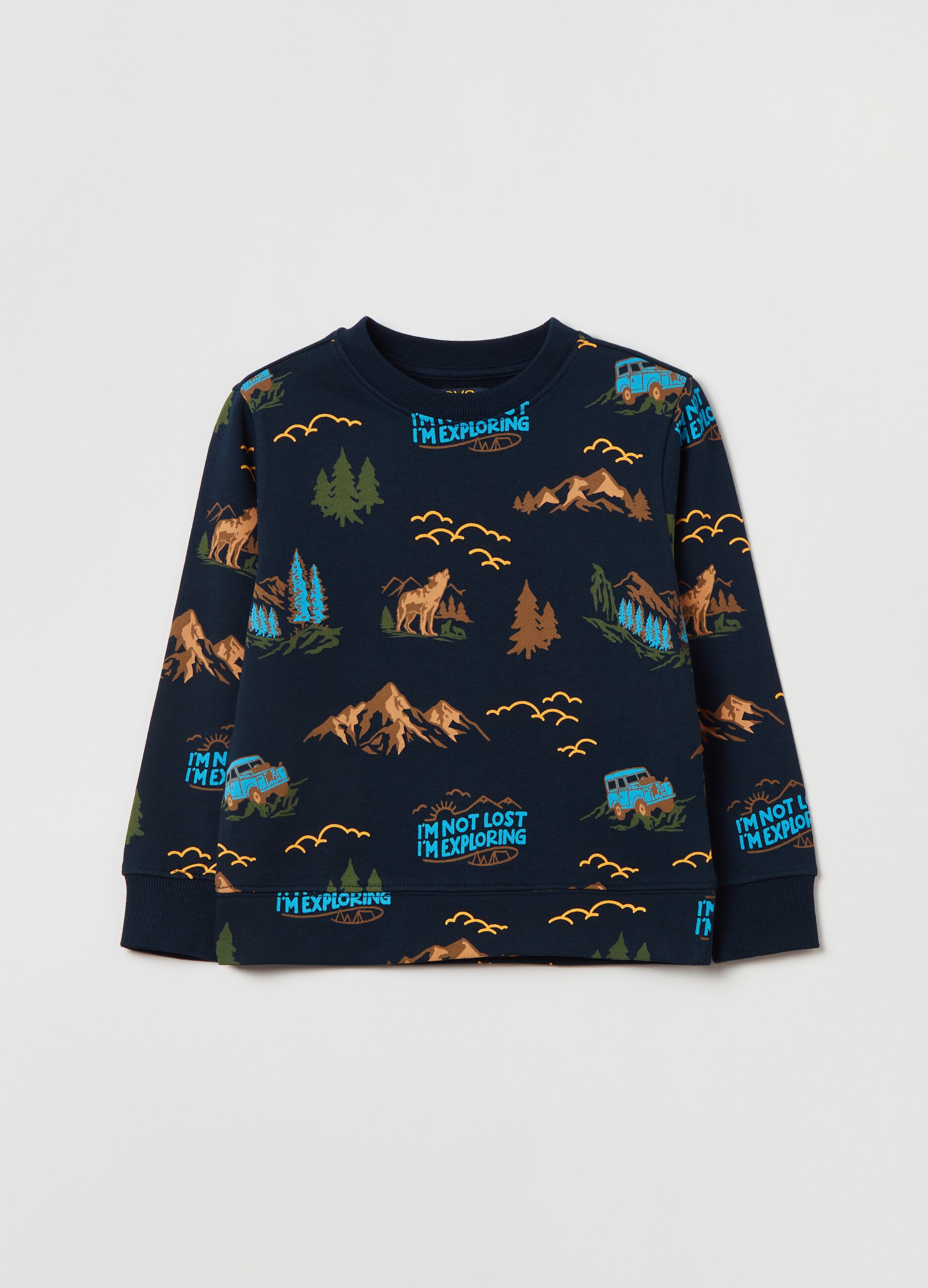 Sweatshirt in cotton with print