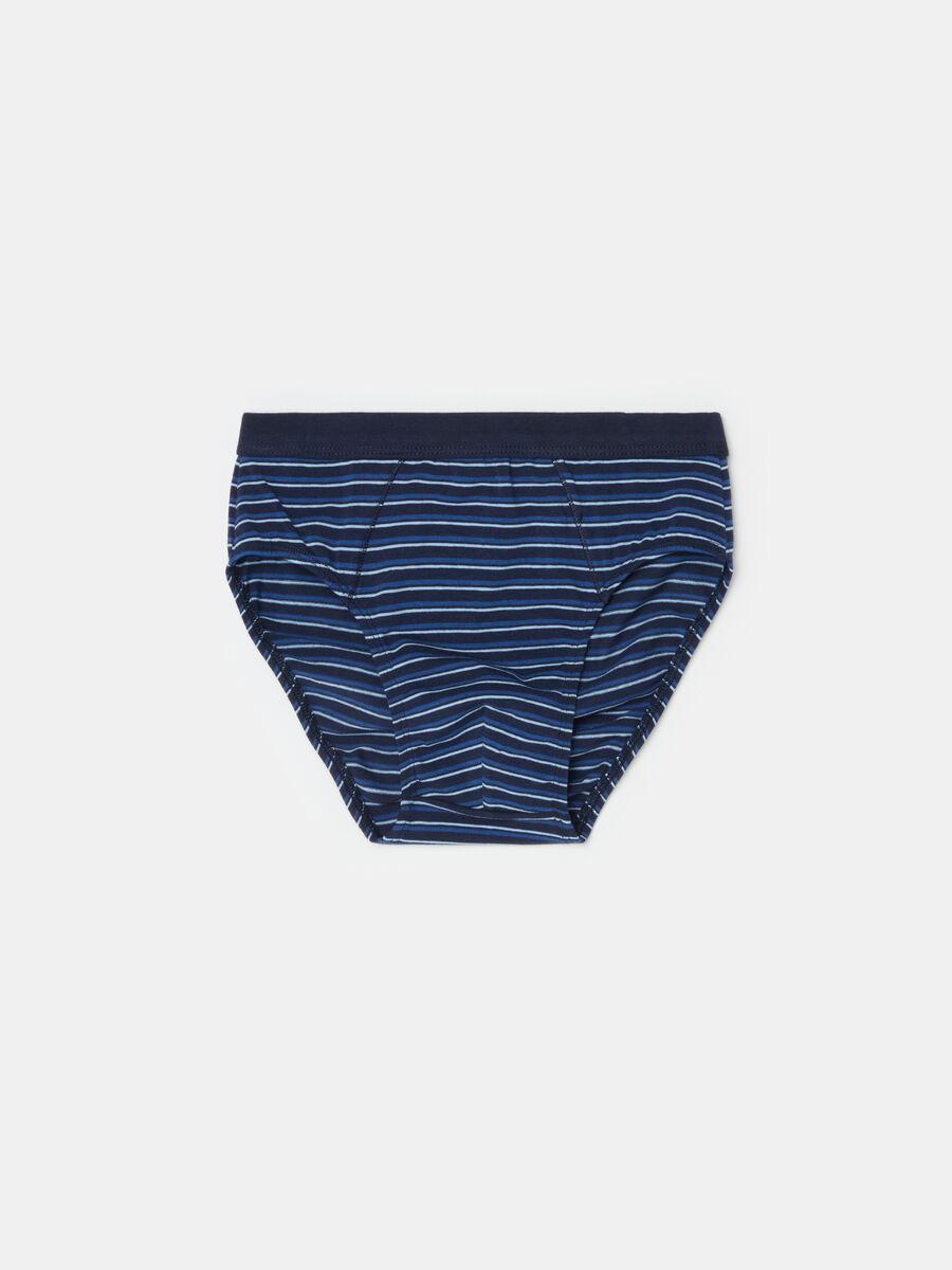 Striped organic cotton briefs_0