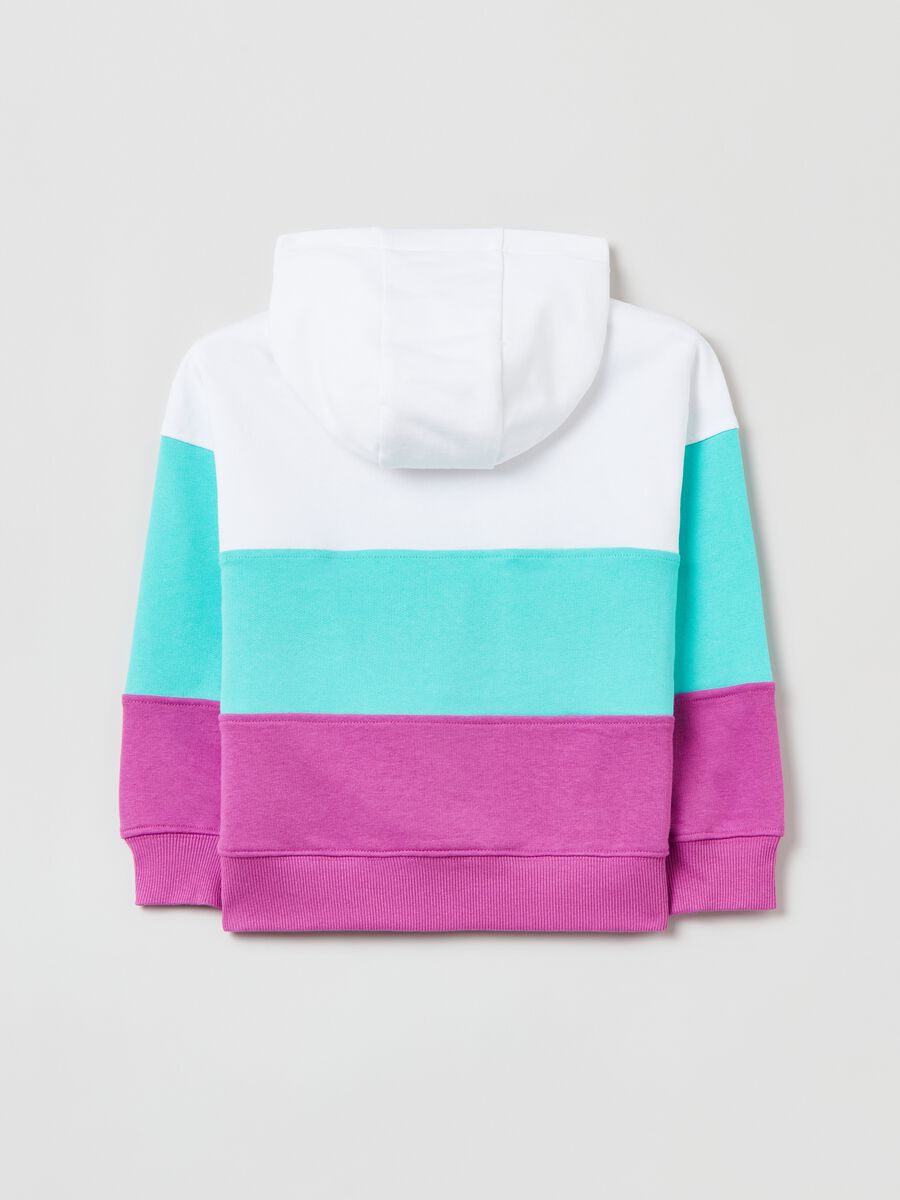 Colourblock sweatshirt with Everlast embroidery_1