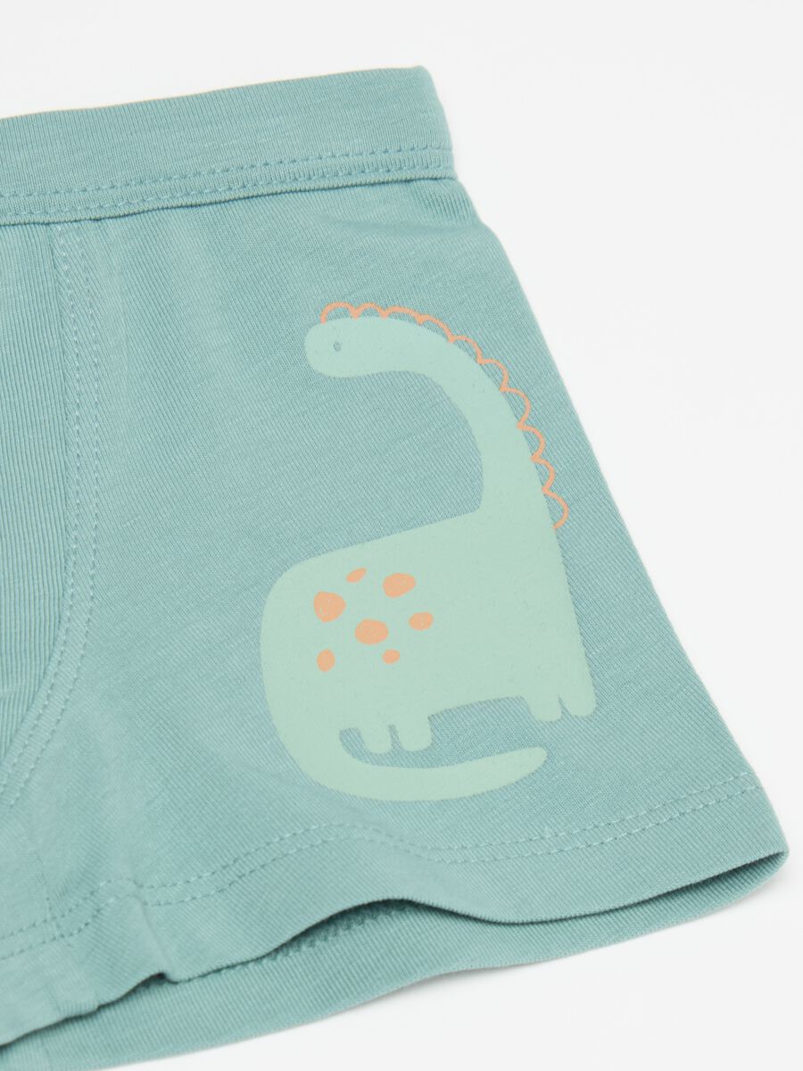 Two-pack boxer shorts with dinosaurs print_3