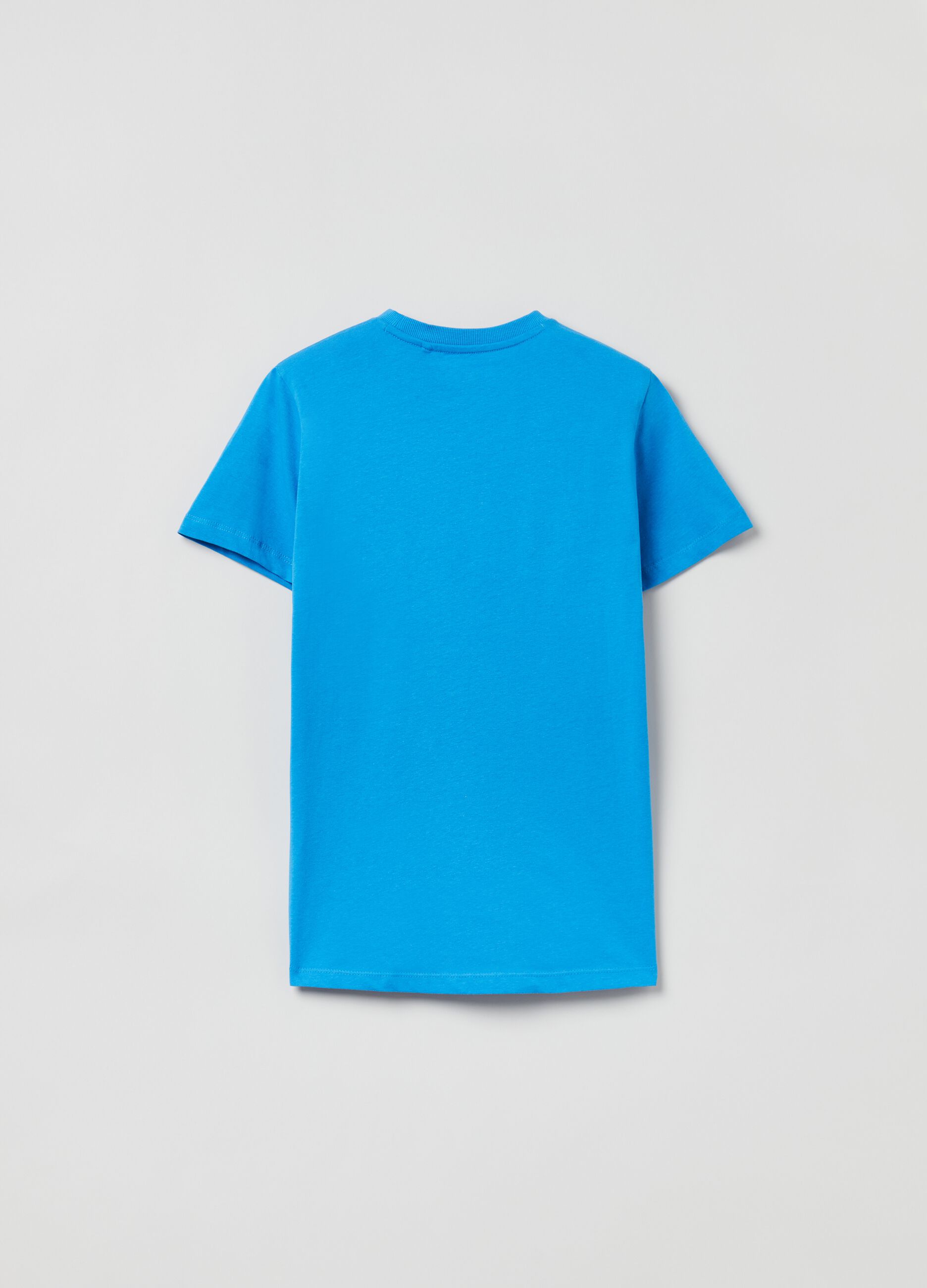 Cotton T-shirt with Grand&Hills print