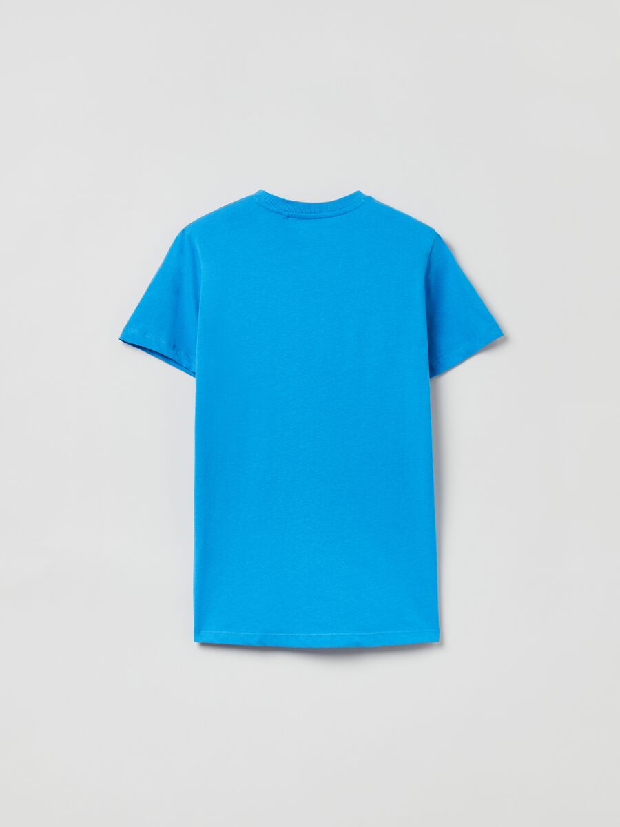 Cotton T-shirt with Grand&Hills print_1