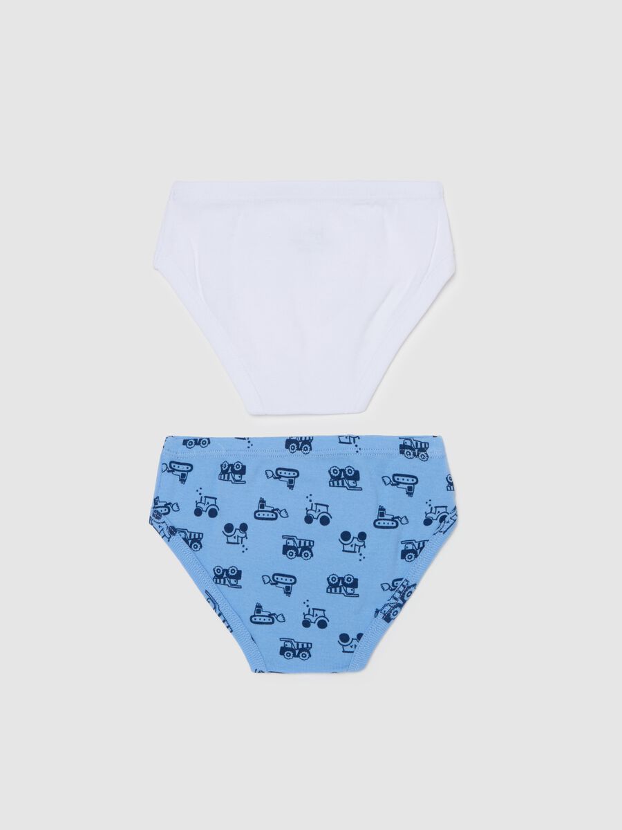 Two-pack briefs in organic cotton with print_1