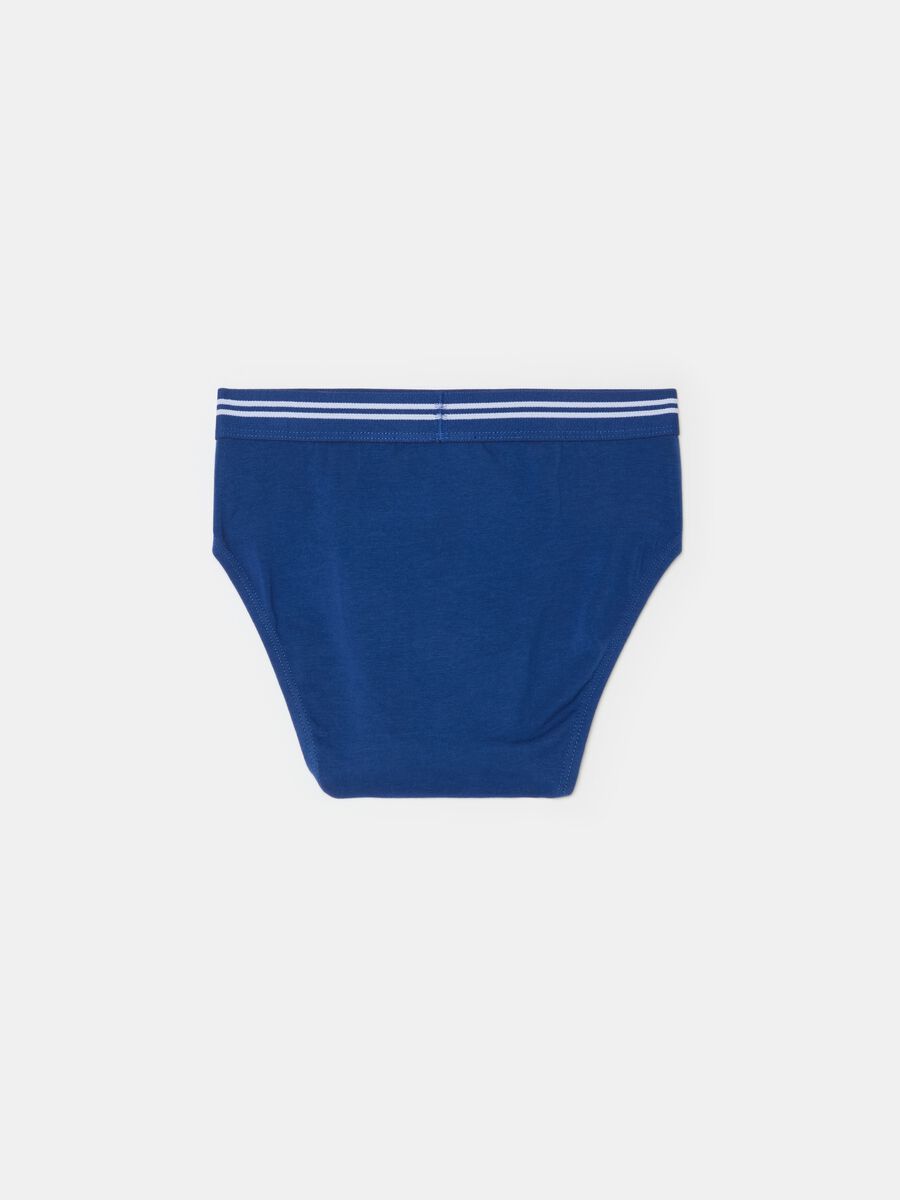 Organic cotton briefs with striped elastic_1